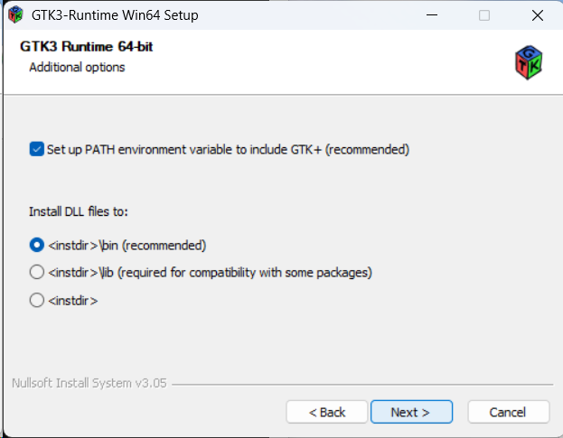 **Additional options:** **Set up PATH environment variable…** (empfohlen) aktiviert lassen; DLL-Installationsziel **<instdir>\\bin (recommended)** belassen. Mit **Next** weiter.