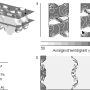 de_sigma150_dlg_grundlagenhandbuch_schmelzefoerderung_042.png